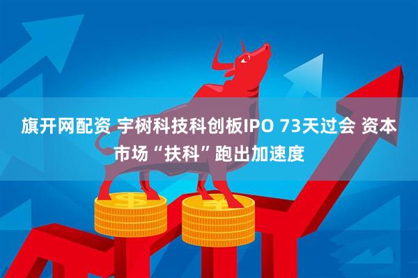 旗开网配资 宇树科技科创板IPO 73天过会 资本市场“扶科”跑出加速度